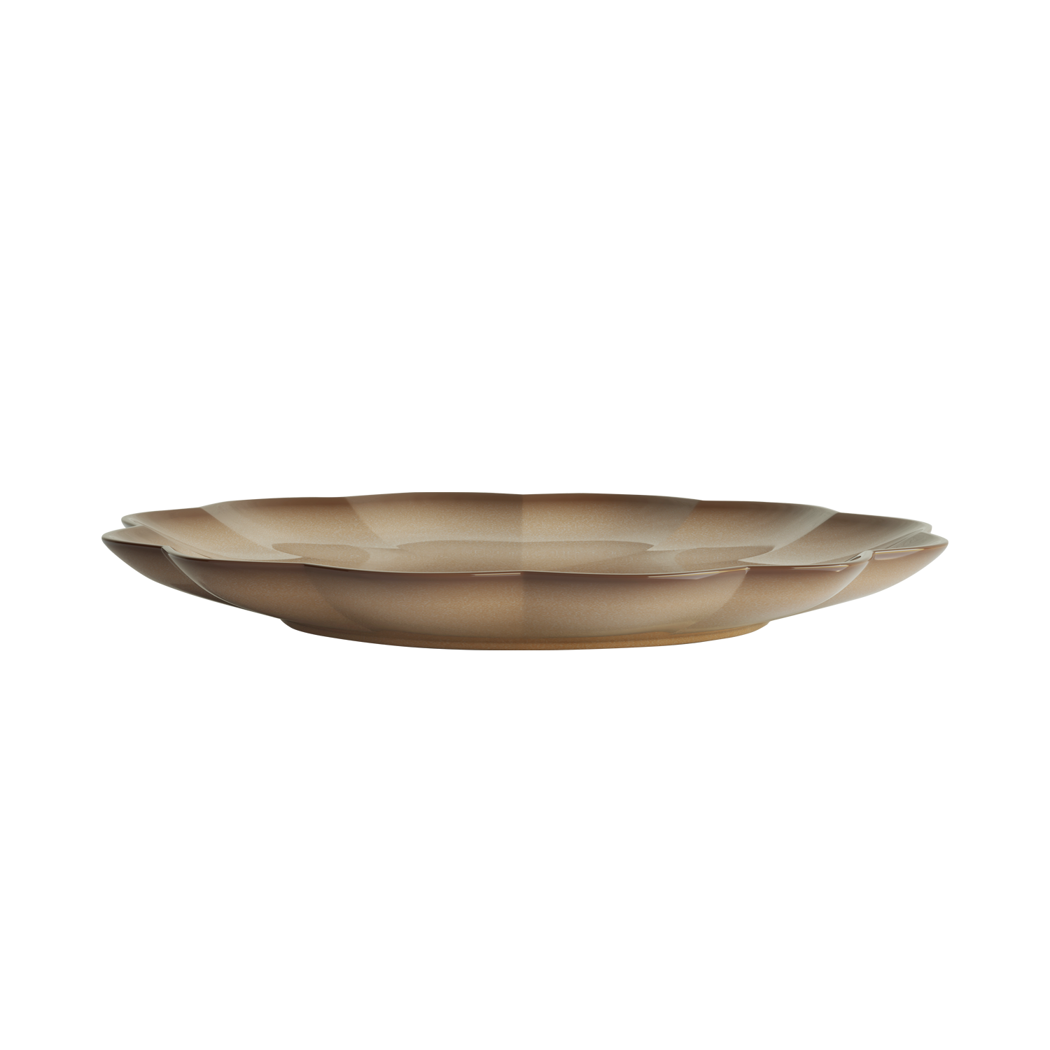 Dinner plate