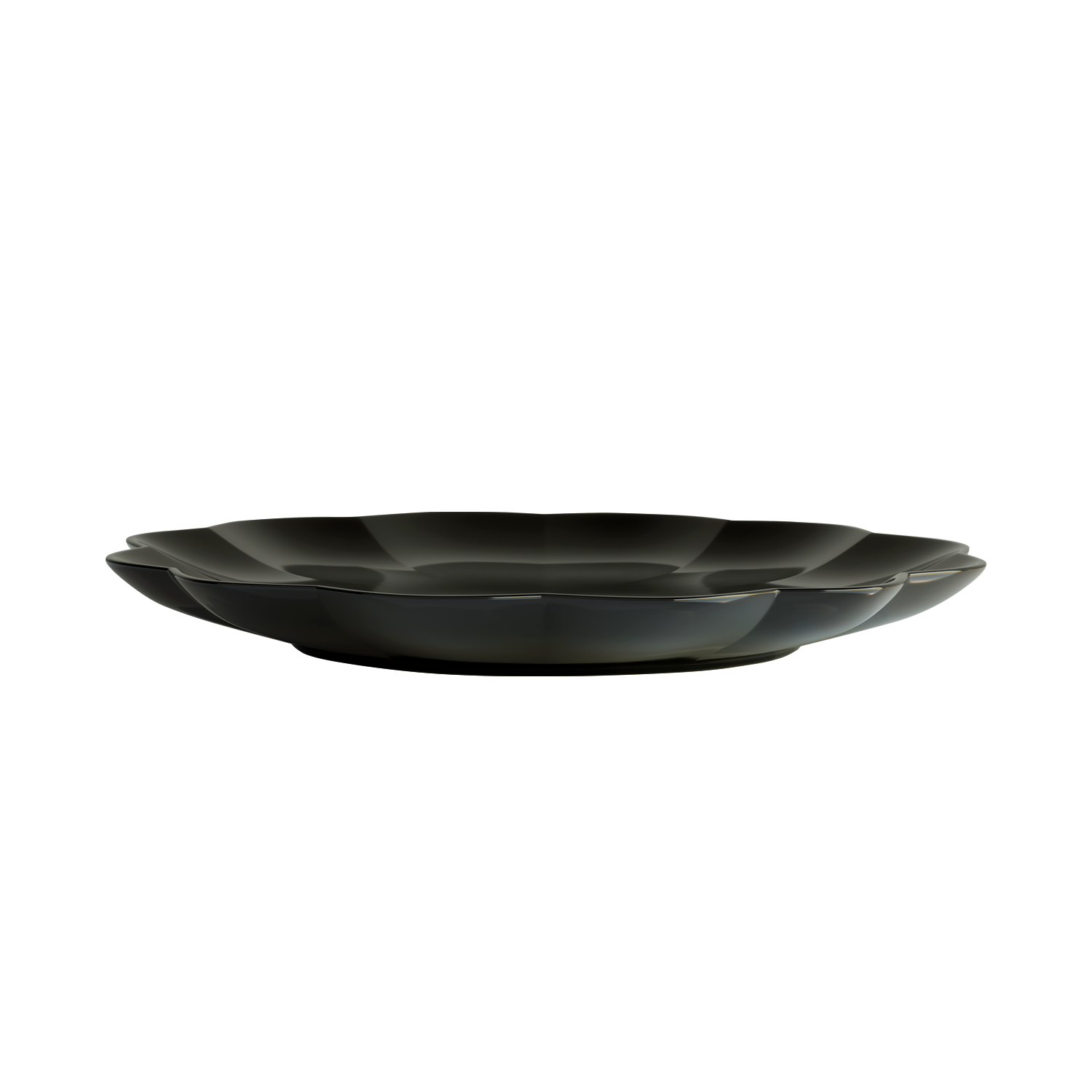 Dinner plate