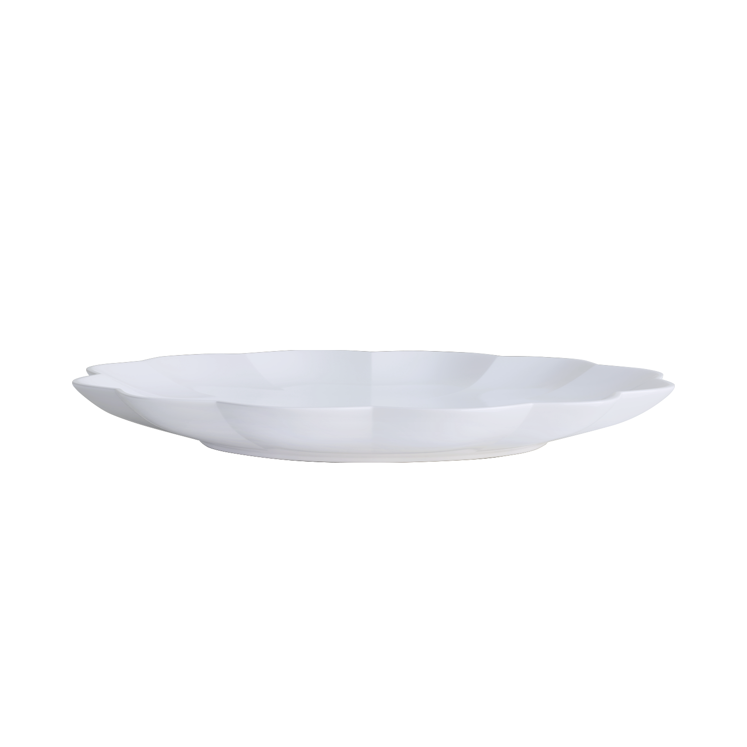 Dinner plate